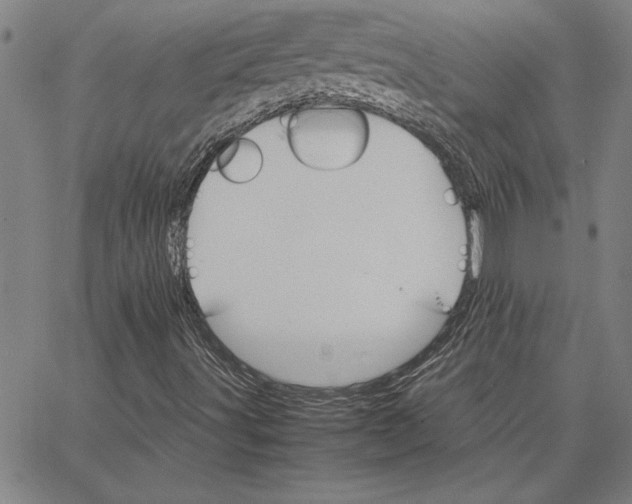 X0000066541491200604071628