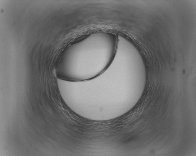 X0000066541492200604071628