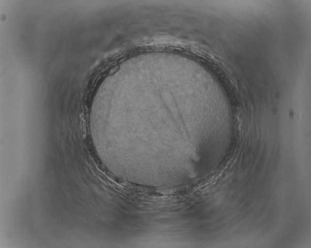 X0000066541493200604071628