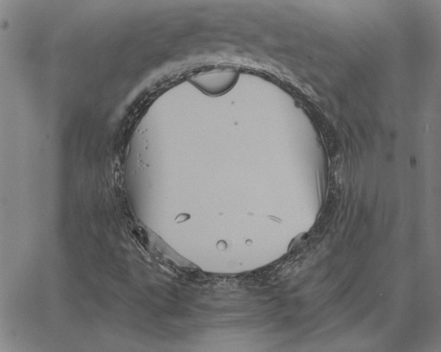 X0000066541495200604071629