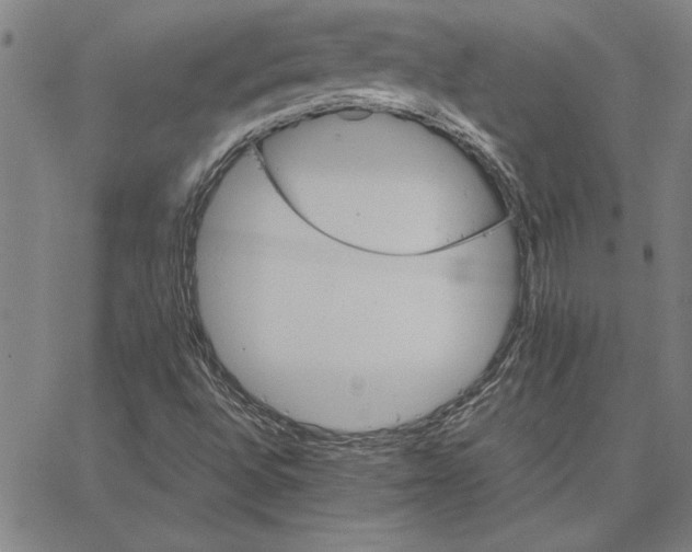 X0000066541496200604071629