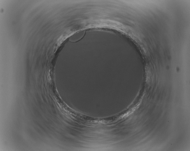 X0000066541497200604071629