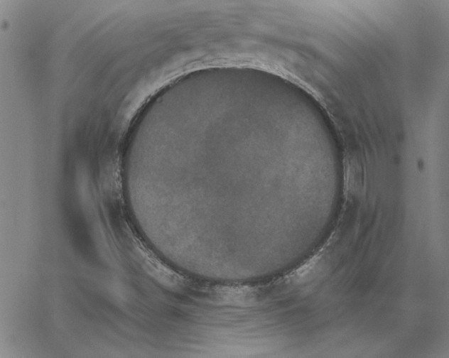 X0000066541498200604071629