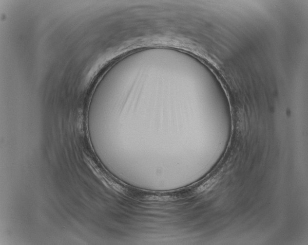 X0000066541499200604071629