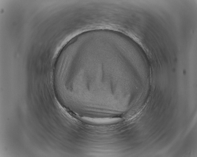 X0000066541500200604071629