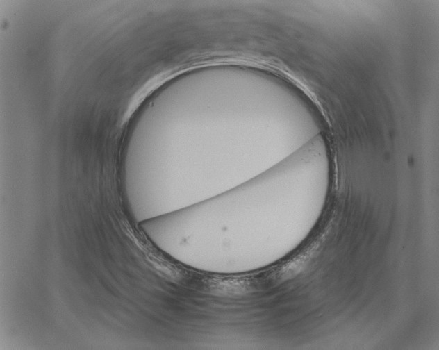 X0000066541501200604071629