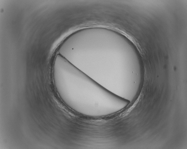 X0000066541502200604071629