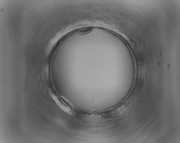 X0000066541503200604071629