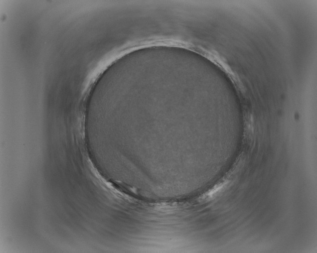 X0000066541504200604071629