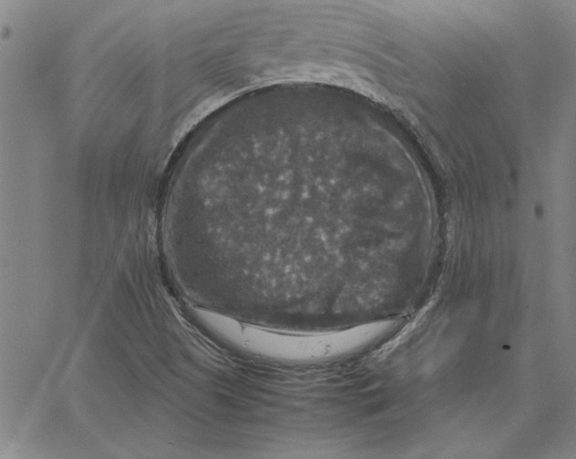 X0000066541505200604071629