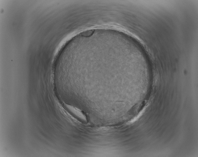 X0000066541506200604071629