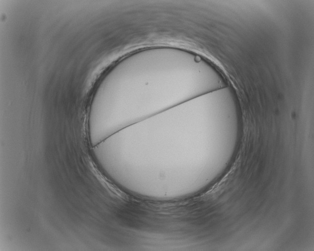 X0000066541507200604071629