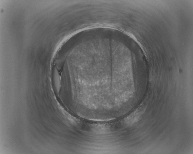 X0000066541508200604071629