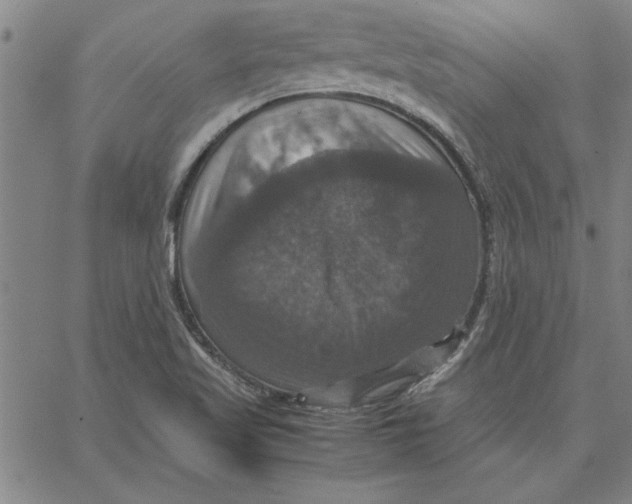 X0000066541509200604071629