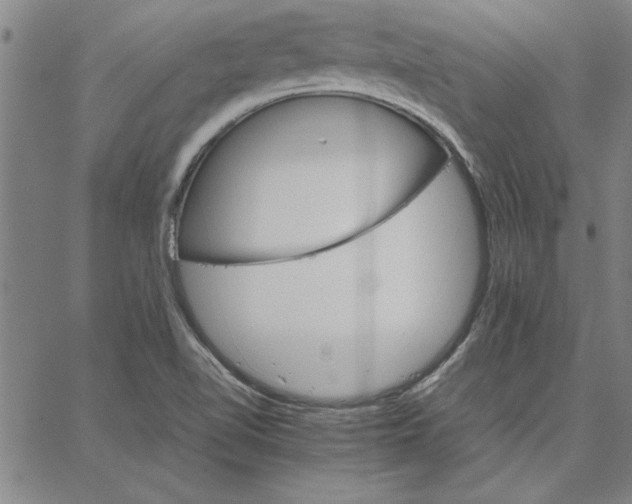 X0000066541510200604071629