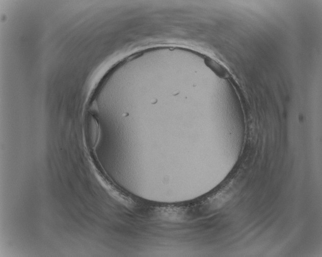 X0000066541511200604071629