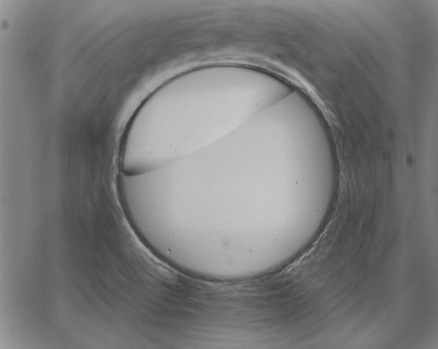 X0000066541512200604071629