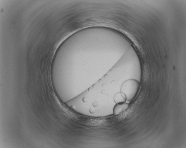 X0000066541513200604071629