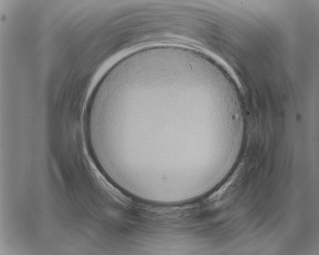 X0000066541514200604071629