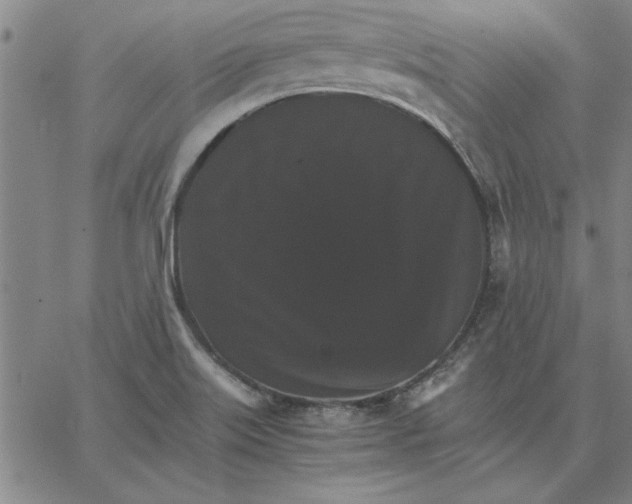 X0000066541515200604071629