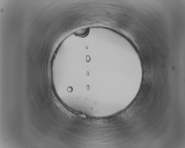 X0000066541516200604071629