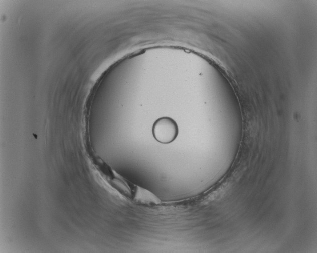 X0000066541518200604071629