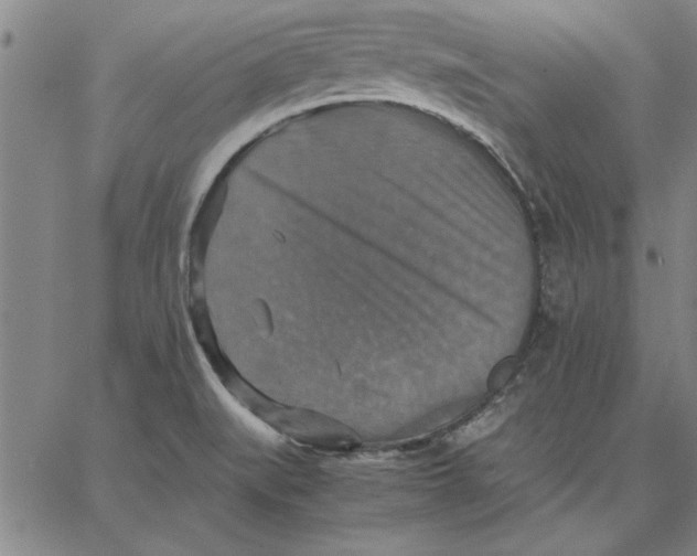 X0000066541519200604071629