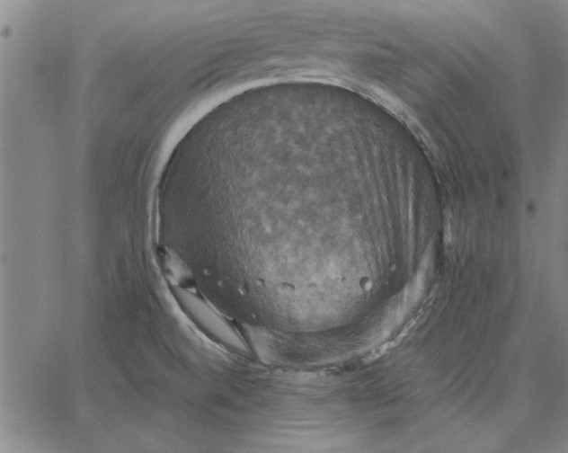 X0000066541520200604071629