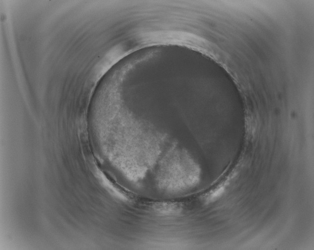 X0000066541521200604071629