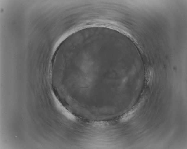 X0000066541522200604071629