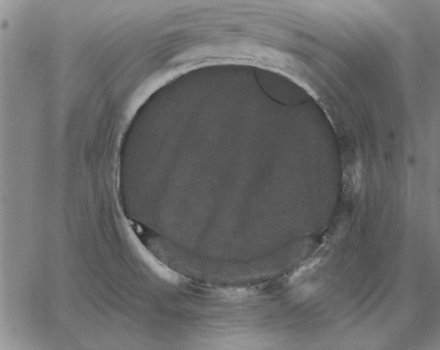 X0000066541523200604071629