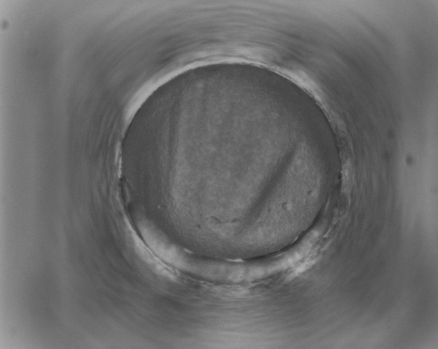 X0000066541524200604071629