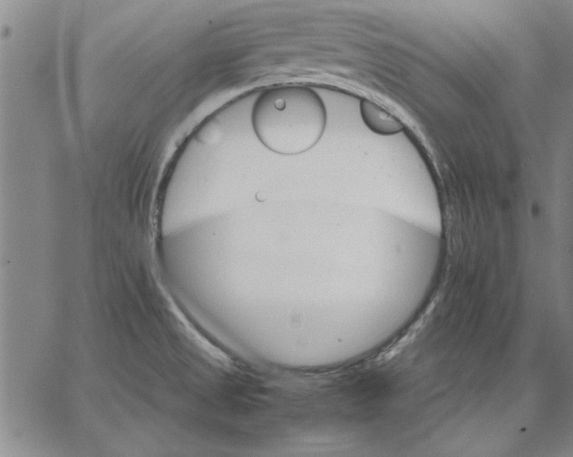 X0000066541525200604071629