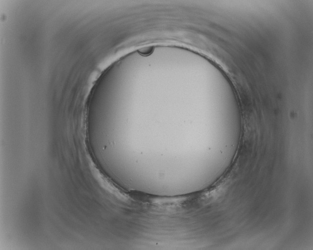 X0000066541526200604071629