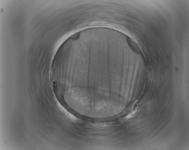 X0000066541527200604071629