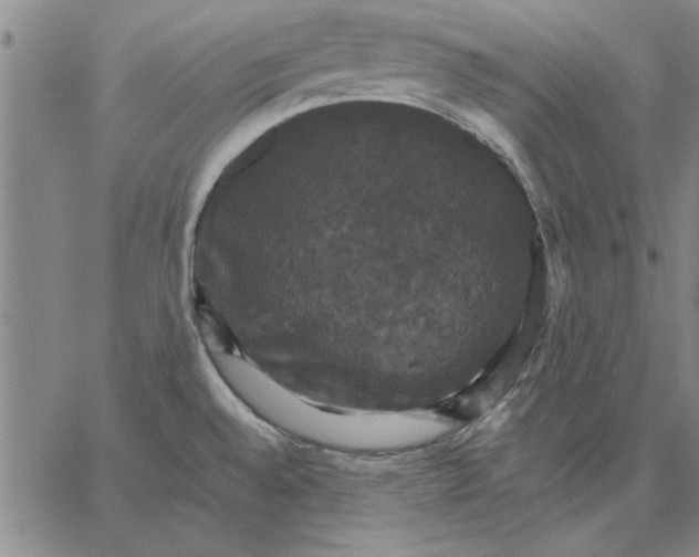 X0000066541528200604071629