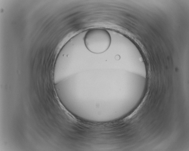 X0000066541529200604071629