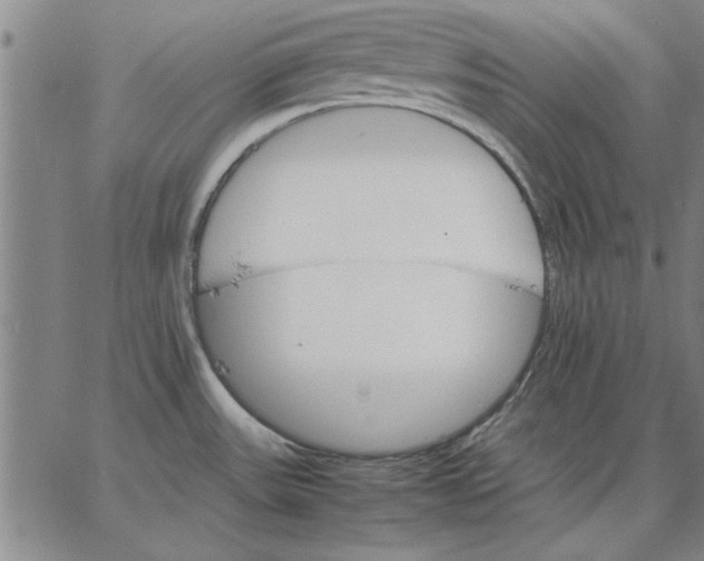 X0000066541531200604071629