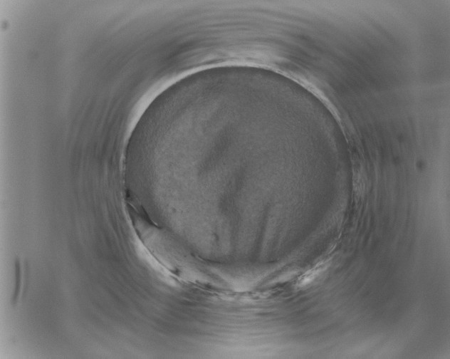 X0000066541532200604071629