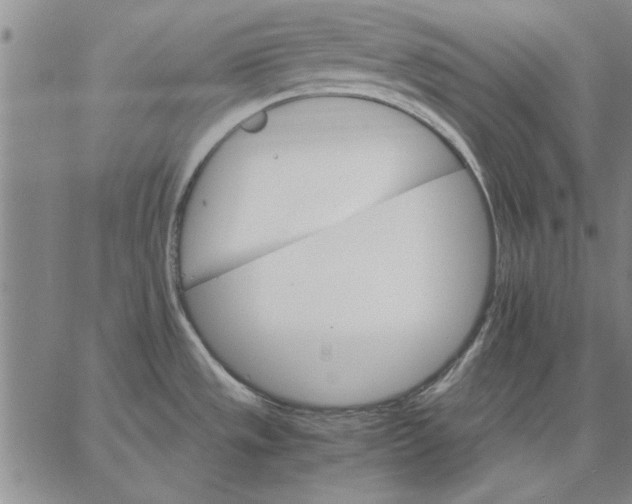 X0000066541533200604071629