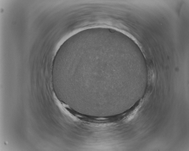 X0000066541534200604071629