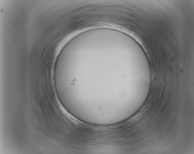 X0000066541535200604071629