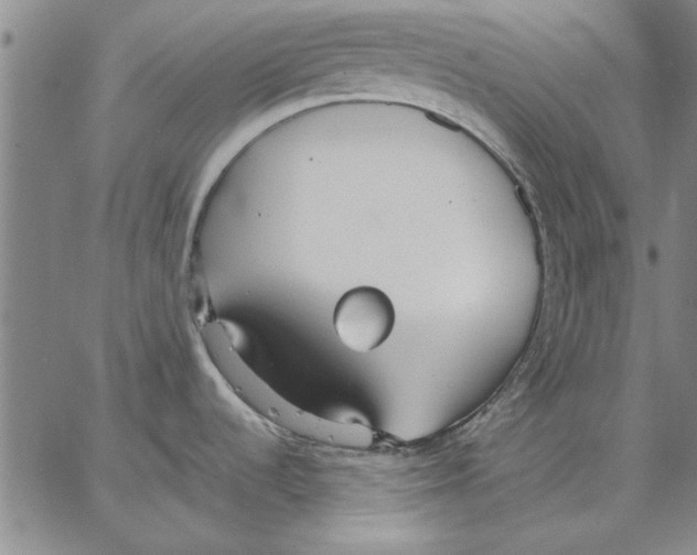 X0000066541536200604071629