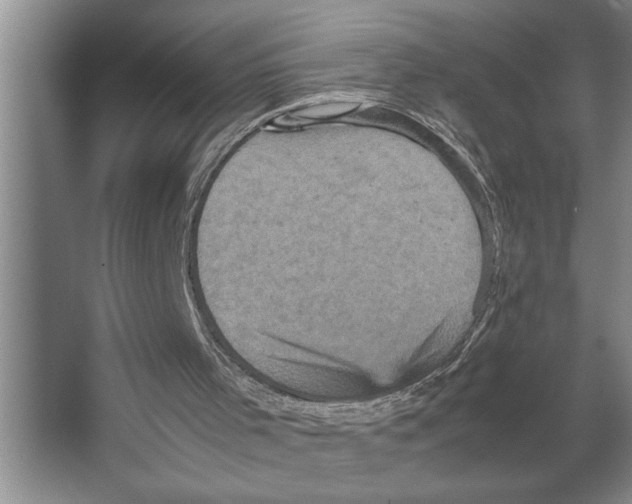 X0000066540001200604141917