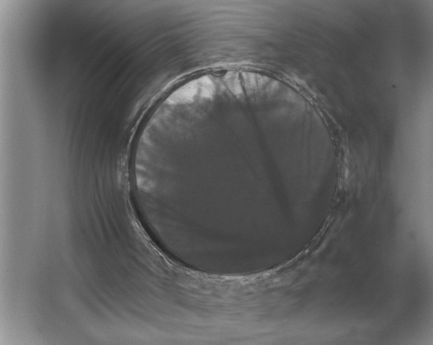 X0000066540002200604141917