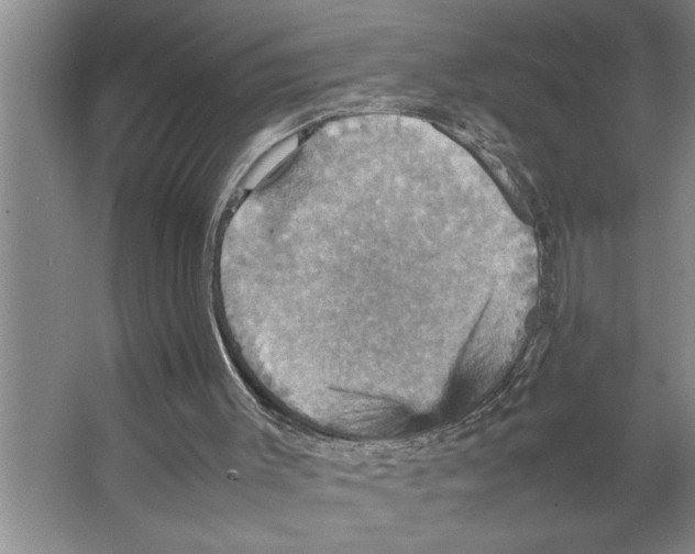 X0000066540003200604141917