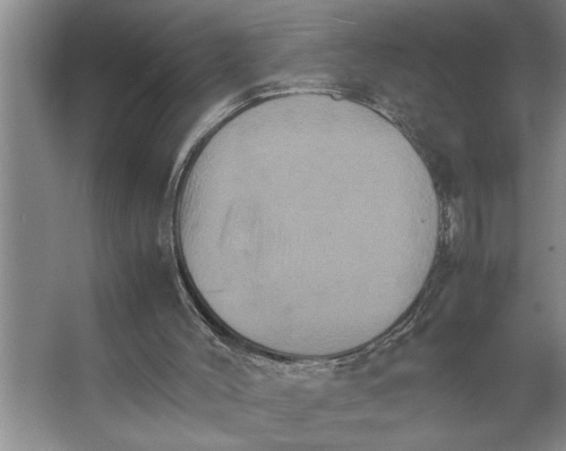 X0000066540004200604141917
