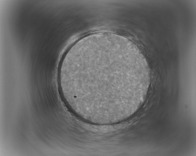 X0000066540006200604141917