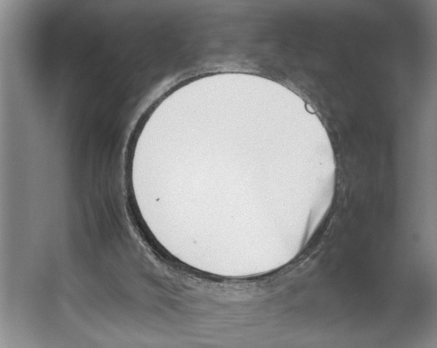 X0000066540008200604141917