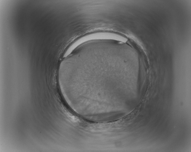 X0000066540009200604141917